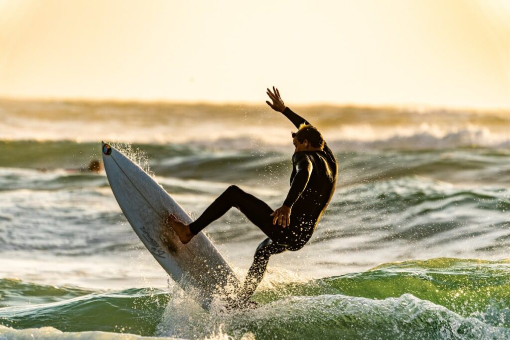 muscles du surf : illustration des principaux muscles travaillés pendant le surf