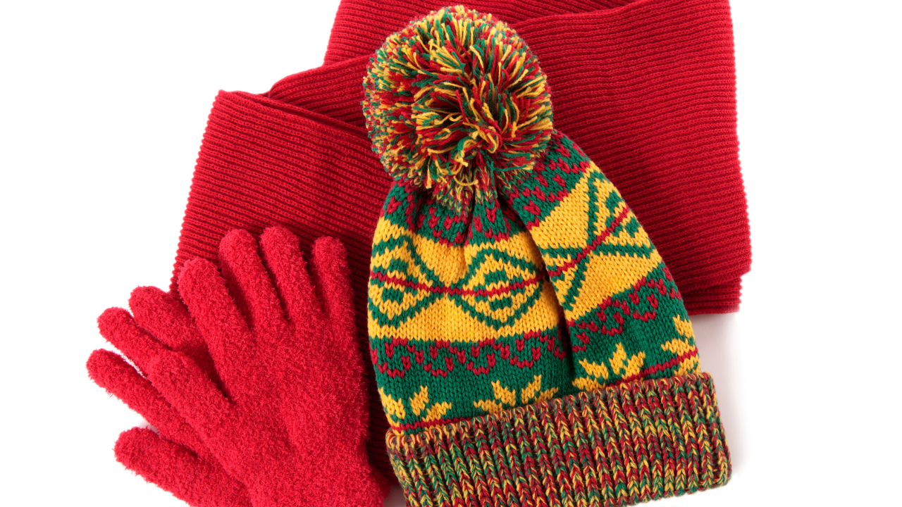 les animaux emblématiques de la montagne en hiver