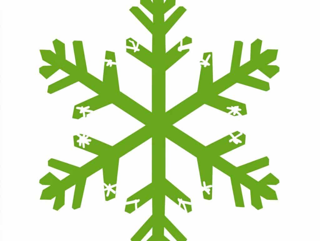 Flocon Vert : logo du label Flocon Vert symbolisant la durabilité en station de ski